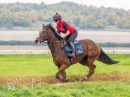 AK021025-52 - Believitanducan